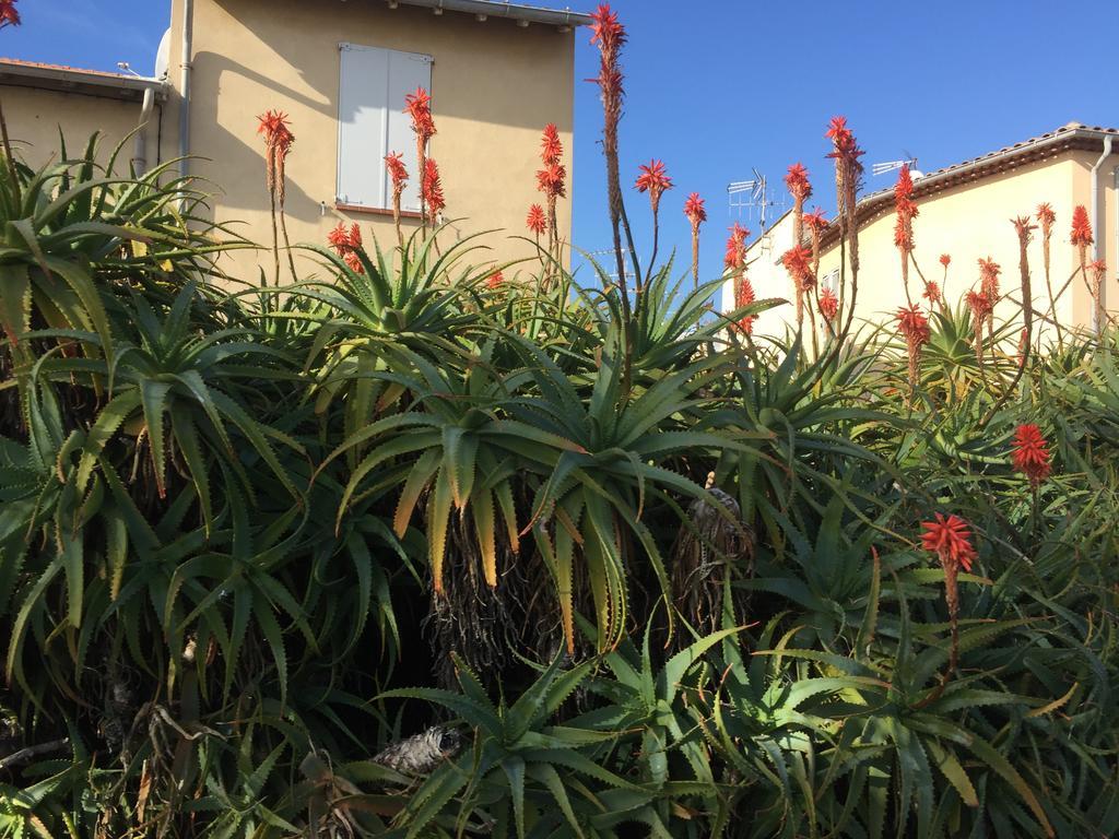 Le Melody Antibes Exterior foto